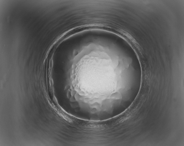 X0000084550933200702231201