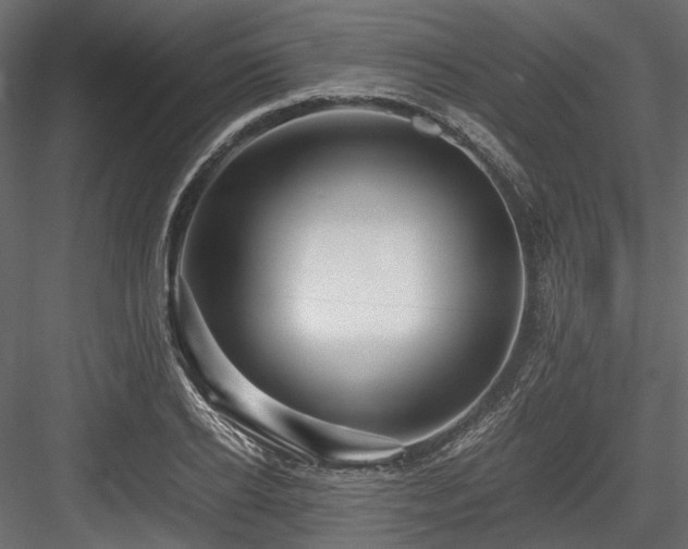 X0000084550934200702231201