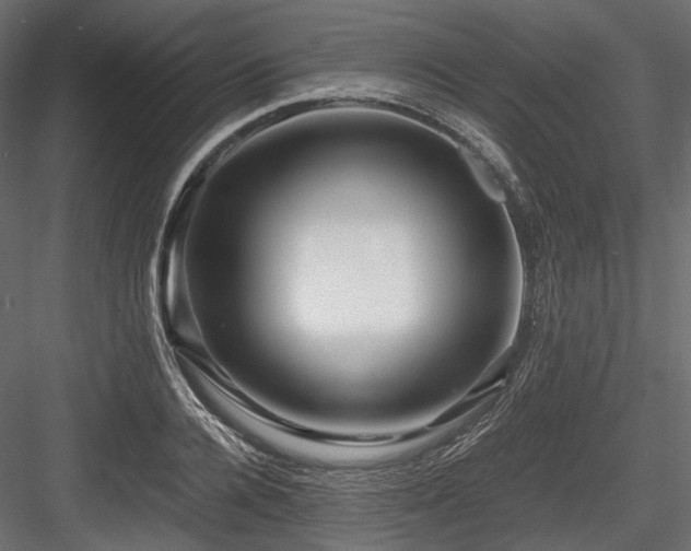 X0000084550936200702231201