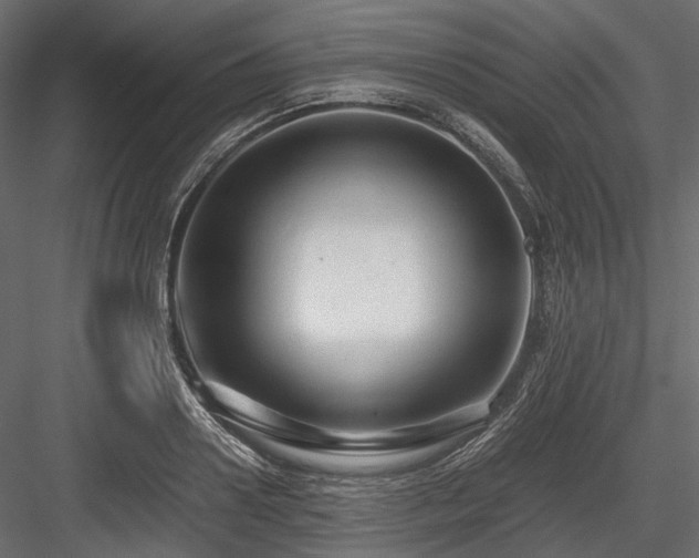X0000084550938200702231201