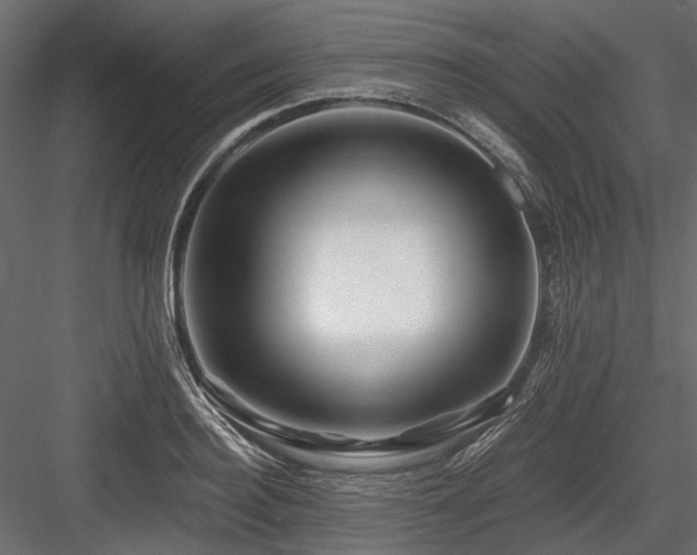 X0000084550940200702231201