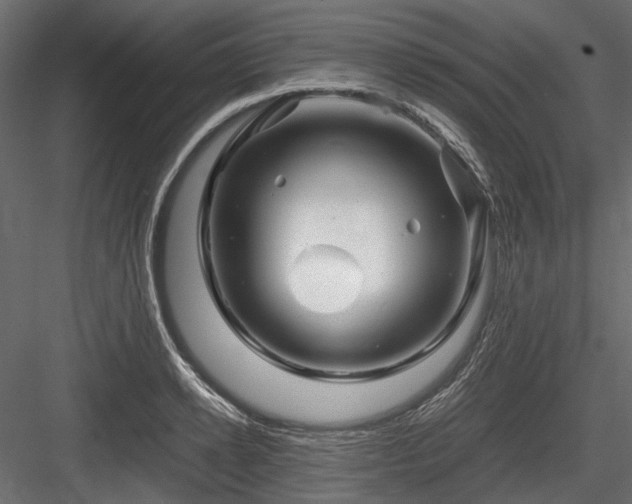 X0000084550942200702231201