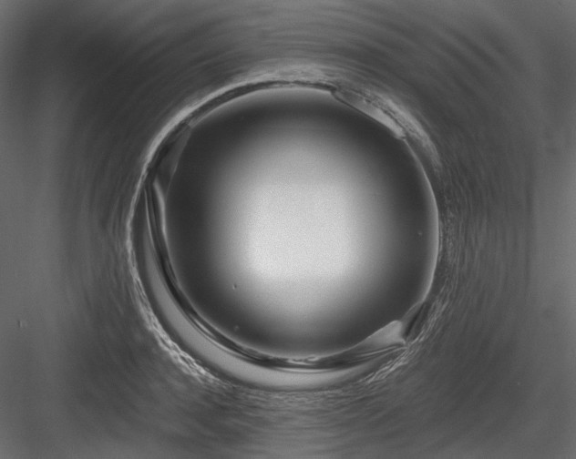 X0000084550944200702231201