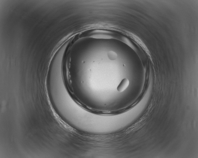 X0000084550946200702231201
