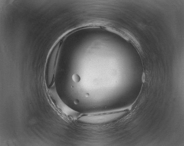 X0000084550948200702231201