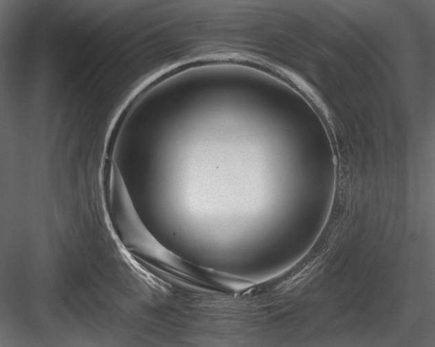 X0000084550951200702231201
