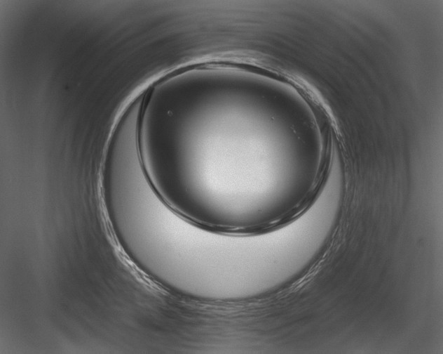 X0000084550952200702231201