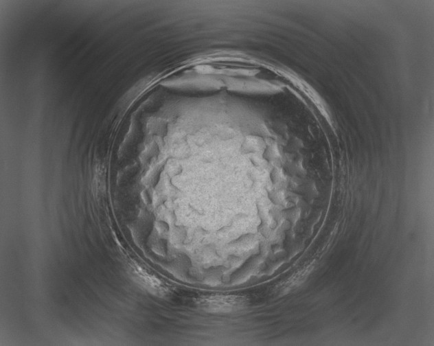 X0000084550953200702231201