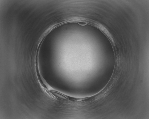 X0000084550954200702231201