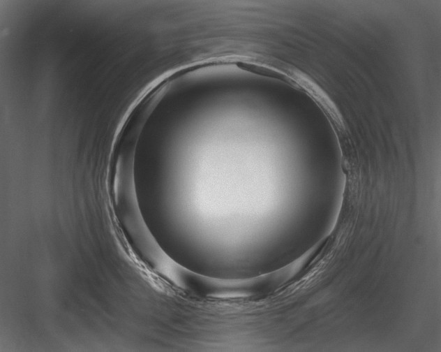 X0000084550956200702231201