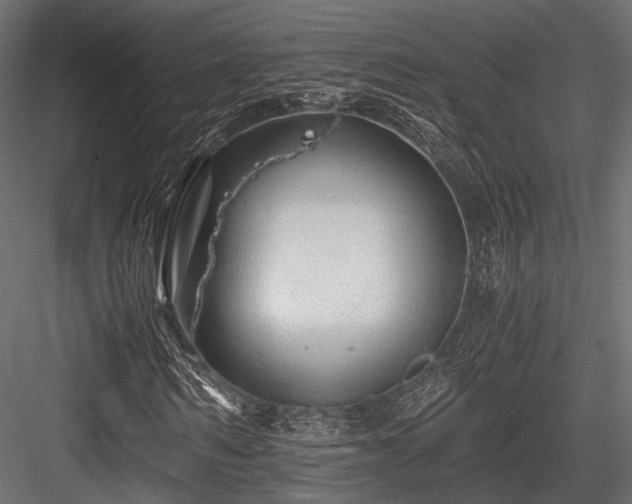 X0000084550962200702231200