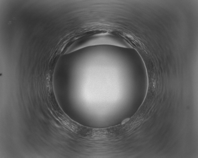 X0000084550964200702231200