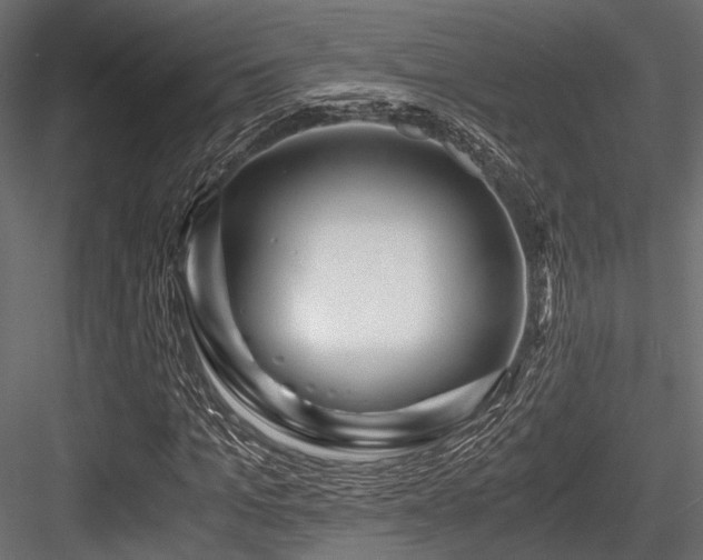 X0000084550965200702231200