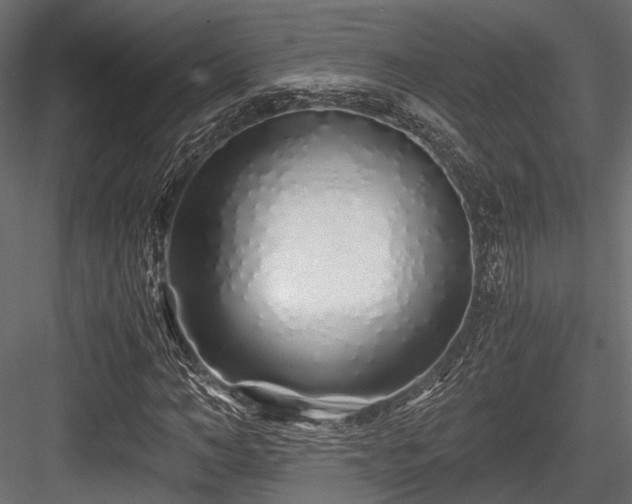 X0000084550966200702231200