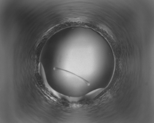 X0000084550968200702231200