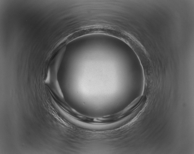 X0000084550969200702231200
