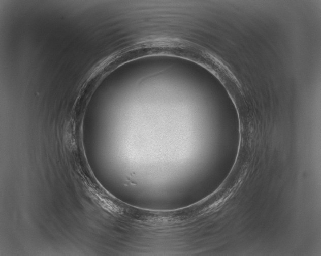X0000084550970200702231200