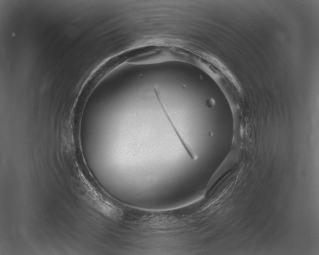 X0000084550972200702231200