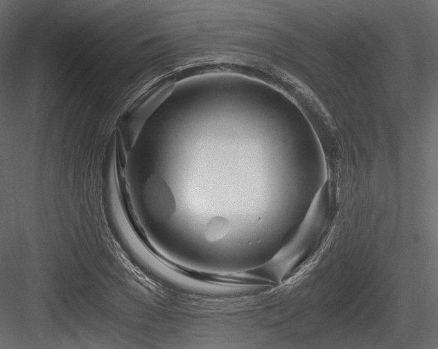 X0000084550977200702231200