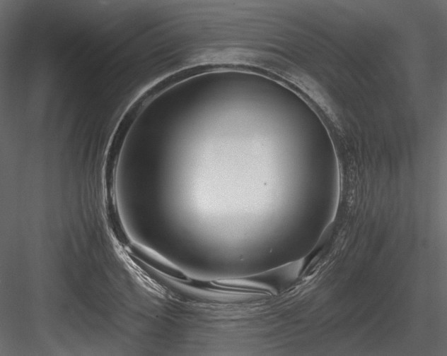 X0000084550980200702231200