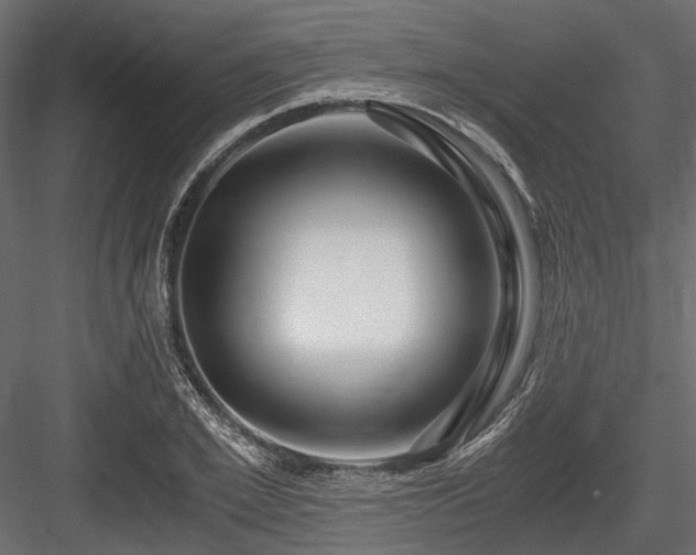 X0000084550981200702231200