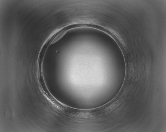 X0000084550982200702231200