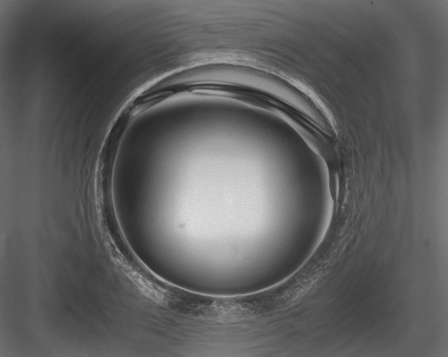 X0000084550983200702231200