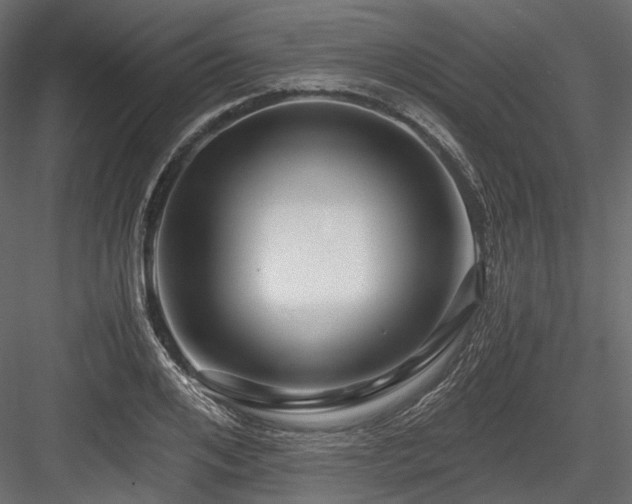 X0000084550984200702231200
