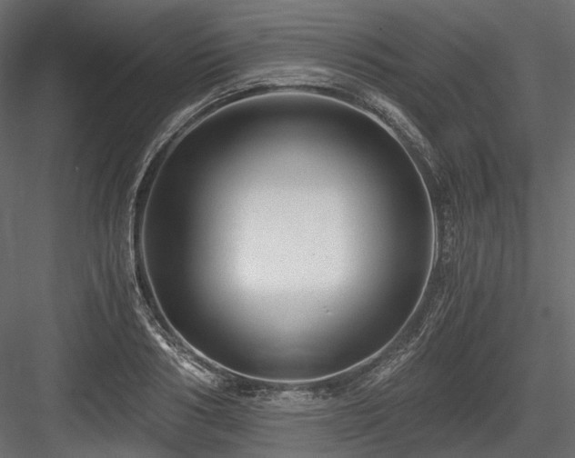 X0000084550986200702231200