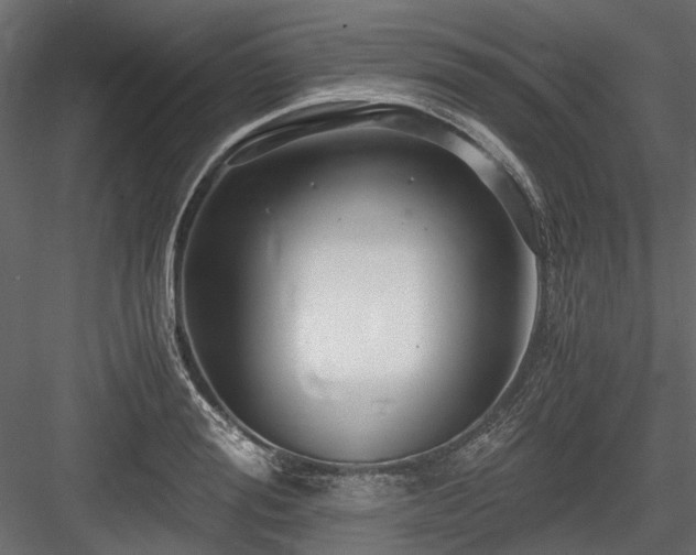 X0000084550988200702231200