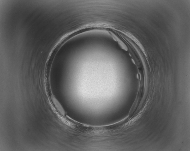 X0000084550989200702231200
