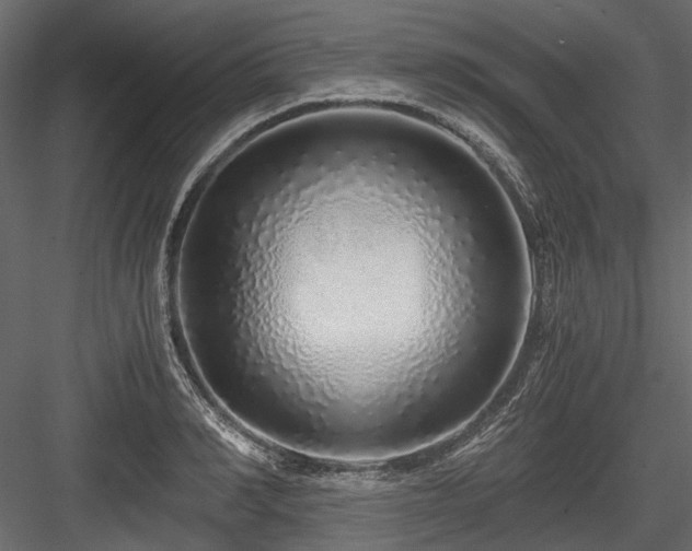 X0000084550990200702231200