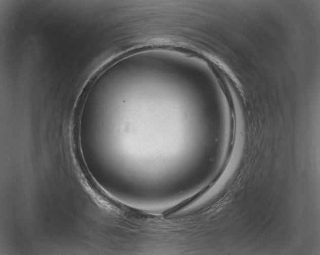 X0000084550991200702231200