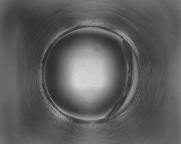 X0000084550992200702231200