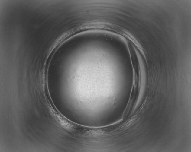 X0000084550994200702231200