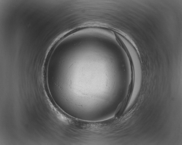 X0000084550995200702231200