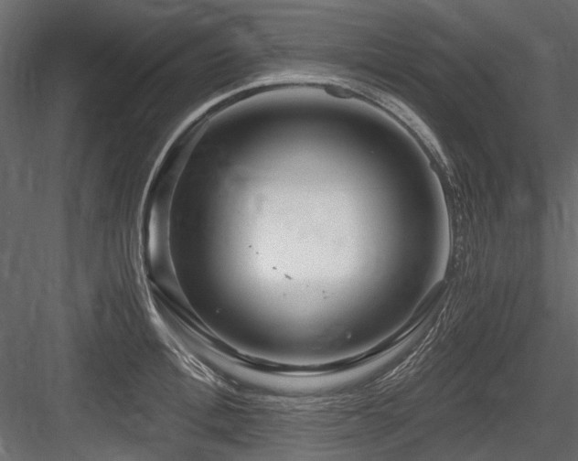 X0000084550996200702231200