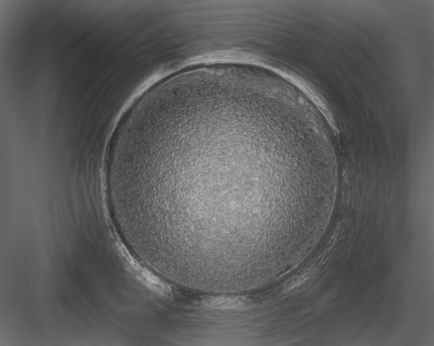 X0000084550998200702231200