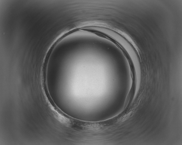 X0000084550999200702231200