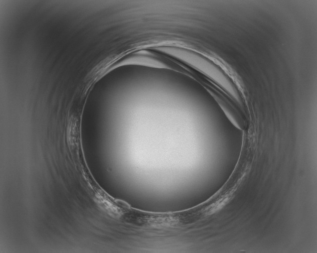 X0000084551001200702231200
