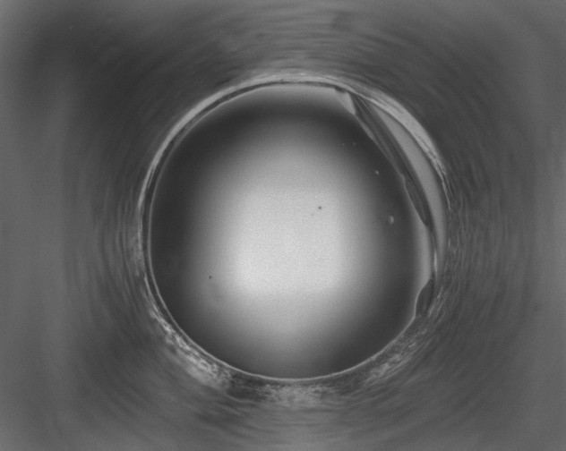 X0000084551004200702231200