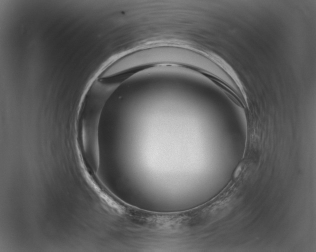 X0000084551005200702231200