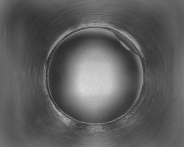 X0000084551006200702231200