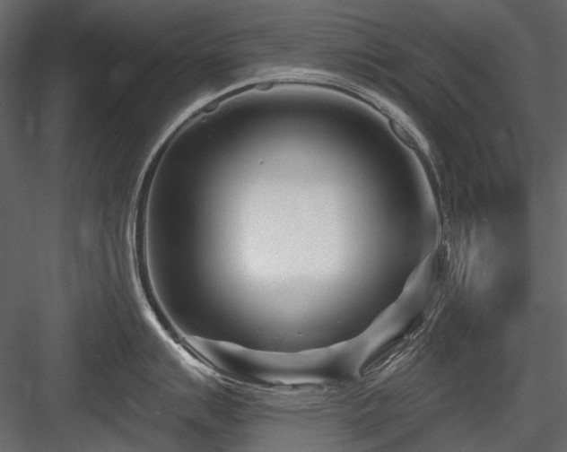 X0000084551007200702231159