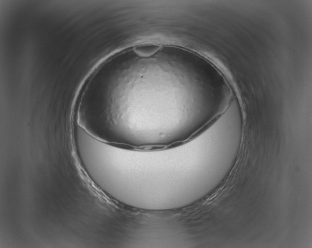 X0000084551008200702231159