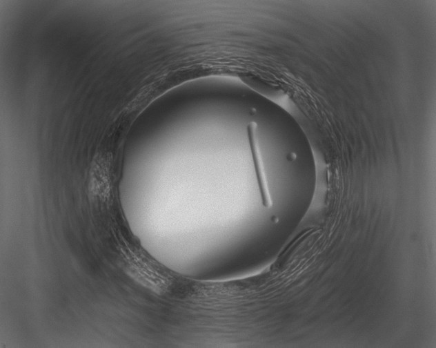 X0000084551012200702231159