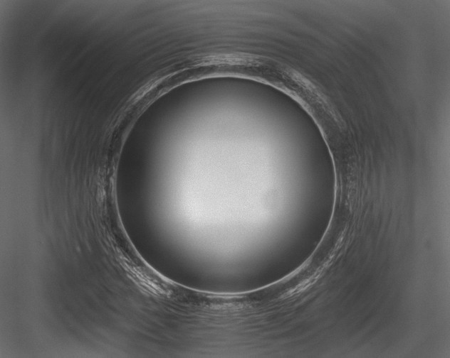 X0000084551017200702231159