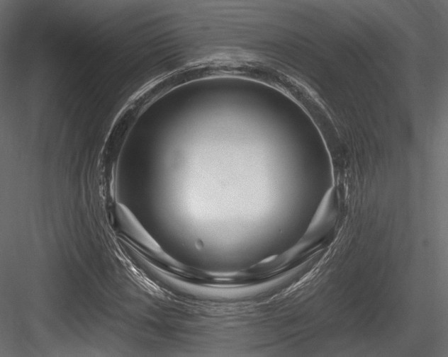 X0000084551018200702231159