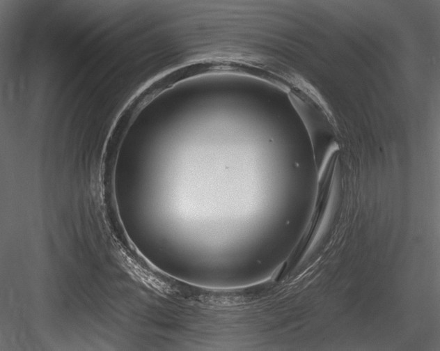 X0000084551020200702231159