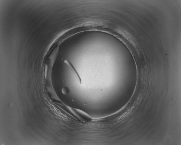 X0000084551021200702231159